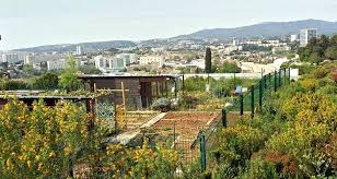 Marseille, terre d'agriculture urbaine en plein essor