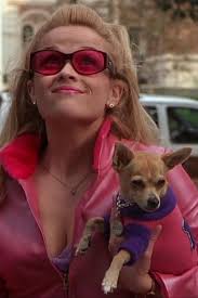 In Memory Of Bruiser Woods 1998 2016 Legally Blonde Legally Blonde Outfits Blonde Moments