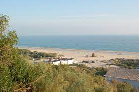 We did not find results for: Datei Praiaverde2 Jpg Wikipedia
