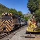 Diesel Train
