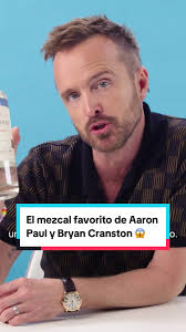 Aaron Paul Audition