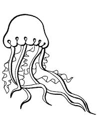 Select from 35919 printable coloring pages of cartoons, animals, nature, bible and many more. Jellyfish Coloring Page Coloring Page Book For Kids