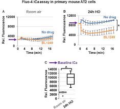 How much is 8,000 herocoin to euro? K 2p 2 1 Trek 1 Potassium Channel Activation Protects Against Hyperoxia Induced Lung Injury Scientific Reports