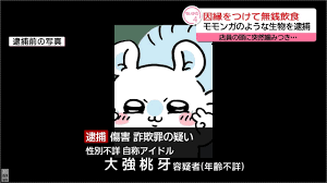 ももんが 速報
