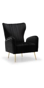 Amazon Com Meridian Furniture Opera Collection Modern Contemporary Velvet Upholstered Accent Chair With Stainless Steel Legs In A Rich Gold Finish Black 29 W X 34 5 D X 39 H Furniture