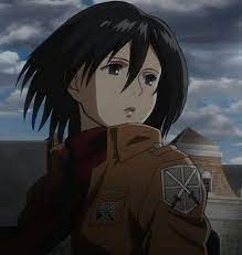 Mikasa Ackerman Attack On Titan Anime Mikasa Anime Mikasa