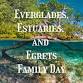 Everglades, Estuaries and Egrets Family Day