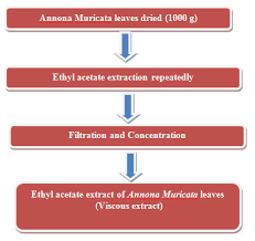 preparation evaluation of annona muricata extract against