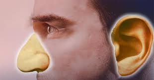 Your Ears And Nose Get Bigger In Old Age But Not Because They Re Growing Nose Growing Ear