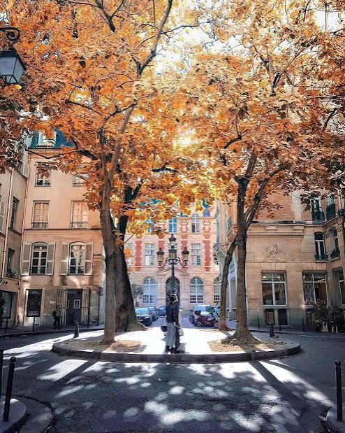 🍂 LA SUPERBE PETITE PLACE ⛲️ > La place de Furstenberg est r&eacute;put&eacute;e pour &ecirc;tre l'une des plus charmantes places de Paris. Eug&egrave;ne Delacroix choisit d'ailleurs de s'y installer en 1857, pour