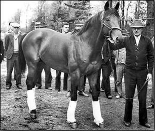 CELEBRATING SEABISCUIT AND RED POLLARD'S WIN – Seabiscuit Heritage  Foundation
