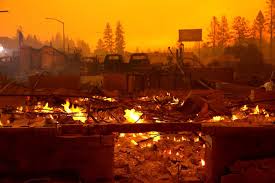California Hasn T Seen Fires Like This Pictures Of A State In Flames Wine Country California Dog Waiting California Wildfires