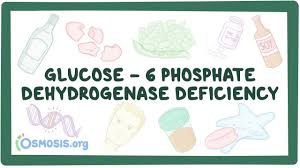 Image result for G6PD Deficiency