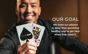 CSR Report 2023 Live