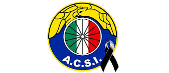 The current status of the logo is active, which means the logo is currently in use. Condolencias Audax Italiano