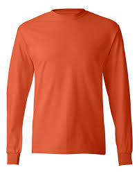 Hanes 5586 Tagless Long Sleeve T Shirt