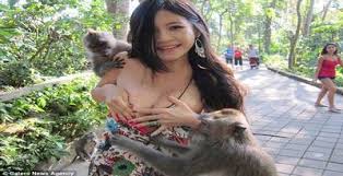 Image result for model bikini artis dunia
