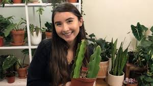 You may commonly find dragon fruit ( hylocereus undatus ), dutchman's pipe ( epiphyllum oxypetalum ), or queen of the night (which can be either. Dragon Fruit As A New Houseplant Youtube