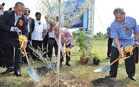 Sawit raya sdn bhd (malaysia) sawit raya sdn. Sawit Raya Labur Rm216 Juta Bina Kilang Di Kelantan Tengah Under Construction