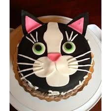 Geben sie es in einer dosierung von etwa 20 bis 80 milligramm je kilogramm körpergewicht hinzu und vermischen sie das futter anschließend gründlich. 48 Katzen Ideen Katzen Kuchen Katzen Torte Tortendeko