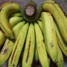 Pisang tanduk merupakan jenis pisang yang sangat popular, khusnya di indonesia dan malaysia. Jual Pisang Ambon Mentah Besar Jakarta Barat Tika Freshfruit Tokopedia