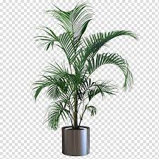 Plant On A Pot Transparent File Google Search Indoor Plant Pots Plants Plant Display Ideas