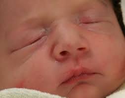 New Year's Baby pulled over for running yellow light (video)