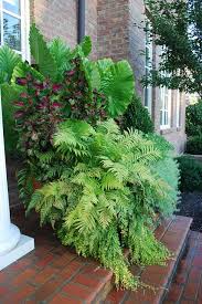 10 Cat10 1288a 08 Container Garden Design Garden Containers Plants