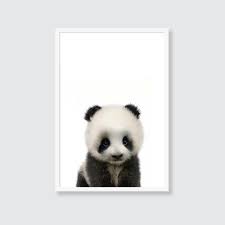 Идёт дождь / падает снег / град. Baby Pada Print Babypandabears Baby Panda Print Wildlife Print Nursery Animal Prints The Crown Prints Wildlife Prints Baby Animal Art Nursery Animal Prints