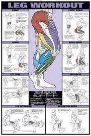Leg Workout Professional Fitness Gym Wall Chart Poster