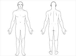 Below, you can find an unlabeled diagram ready for you to fill in yourself. 9 Free Body Diagram Free Printable Download Body Template Body Diagram Human Body Diagram