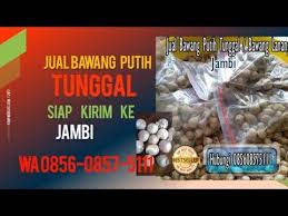 Jun 15, 2021 · bawang merah adalah satu bumbu masak populer di berbagai negara. Wa Sms 0856 0857 5111 Jual Bawang Putih Tunggal Jambi Youtube