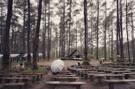 Rumus lightroom di hutan pinus. 10 Spot Foto Epic Di Orchid Forest Lembang Bandung Lokasi Lalala Fest