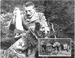Reports have surfaced claiming that a World War II Red Cross rescue dog was discovered preserved within a Swiss glacier, its frozen saddlebag still containing medical supplies and route maps. According to