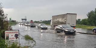 Datele oferite de site sunt actualizate permanent in functie de schimbarile posibile ce pot aparea in timp. Cel Mai Bun Cu Ridicata CumpÄƒrare Ieftin Vremea Kappa In Comana Giurgiu Foppdd Bunepractici Ro