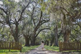 Evergreen plantation appears on the plaquemine. Louisiana Sehenswurdigkeiten Meine Schonsten Highlights Besten Tipps