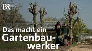 1.700 € brutto pro monat. Das Berufsbild Des Gartenbauwerkers Voraussetzungen Ausbildung Gehalt Und Einsatzgebiete