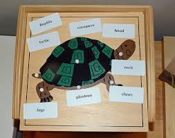 Or, incorporate digital storytelling into your preschool classroom early! Montessori Monday Montessori Inspired Turtle Activities