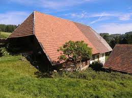 Um ihn anschauen zu können, bitte das passwort eingeben: Schwarzwaldhof Mit 16 Ha Hofgut Im Mittleren Schwarzwald Kinzigtal Schwarzwald Bauernhaus Haus
