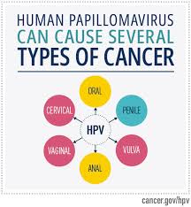 Image result for human papillomavirus symptoms