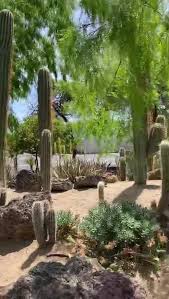 Du hast 2 möglichkeiten, von ethel m botanical cactus garden nach hotel bellagio zu kommen. Ethel M Chocolates Home Facebook