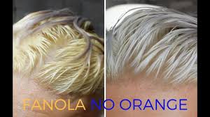 We did not find results for: Fanola No Orange Shampoo