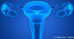 Wenn sich in der muskulatur der gebärmutter gutartige knoten bilden spricht man von einem uterusmyom. Gebarmutter Grosse Lage Aufbau Funktion Netdoktor