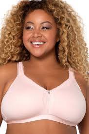 Curvy Couture Black Cotton Luxe