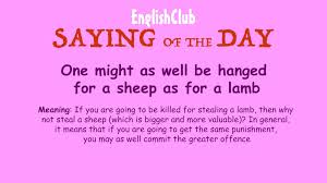 Pin By Sean Taylor On Idiom Of The Day In 2020 English Phrases English Idioms Lamb Meaning
