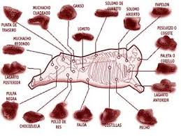 Resultado de imagen para "Del Pasto Al Plato"