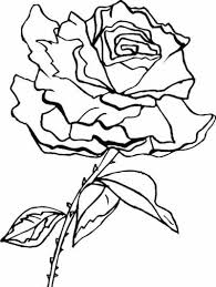 Rose Coloring Pages With Images Rose Coloring Pages Flower Coloring Pages Coloring Pages