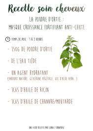 Recette Soin Cheveux Le Masque A La Poudre D Ortie Soin Cheveux Naturel Soin Cheveux Cheveux