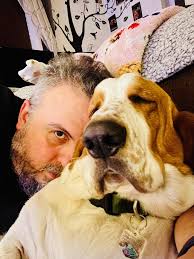 Photos of basset hound named archie