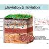 Soil is a mixture of weathered rock & organic matter that usually covers bedrock (solid rock. Https Encrypted Tbn0 Gstatic Com Images Q Tbn And9gcrb Mrny53wabte7sqzdgmzhoej2q06qofy Tdayeplsxfgiwl Usqp Cau